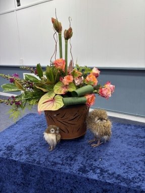 Picture: /imgresize/w288/files/clubs/cyncoed-floral-group/cyncoed-am4.jpg