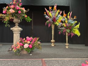 Picture: /imgresize/w288/files/clubs/cyncoed-floral-group/cyncoedap2.jpeg