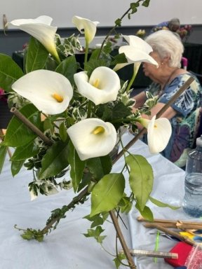 Picture: /imgresize/w288/files/clubs/cyncoed-floral-group/cyncoedcl6.jpg