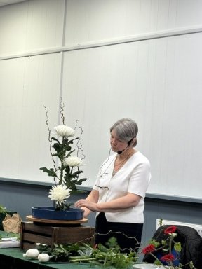 Picture: /imgresize/w288/files/clubs/cyncoed-floral-group/ikeb1.jpeg