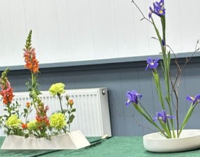 Picture: /imgresize/w288/files/clubs/cyncoed-floral-group/ikeb2.jpeg