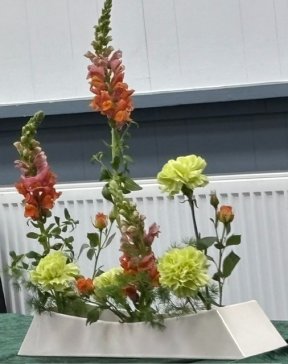 Picture: /imgresize/w288/files/clubs/cyncoed-floral-group/ikeb3.jpeg