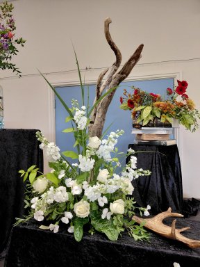 Picture: /imgresize/w288/files/clubs/herefordshire-flower-guild/hfgcc2.jpg