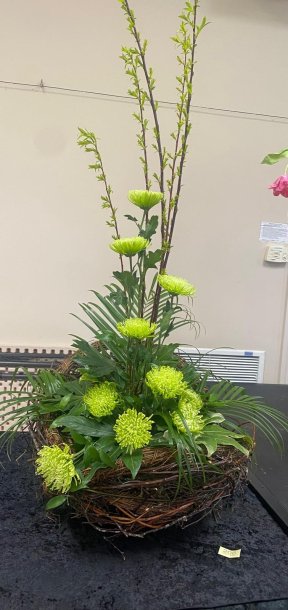 Picture: /imgresize/w288/files/clubs/herefordshire-flower-guild/hfgsh2.jpg
