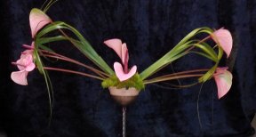 Picture: /imgresize/w288/files/clubs/herefordshire-flower-guild/jenny-york-4.jpg