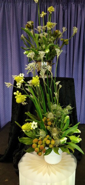 Picture: /imgresize/w288/files/clubs/herefordshire-flower-guild/jenny-york-5-march-25.jpg