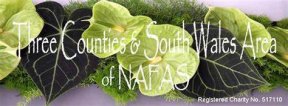 Nailsworth & District Flower Arrangement Society
