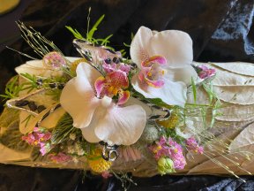 Rhiwbina Floral Society